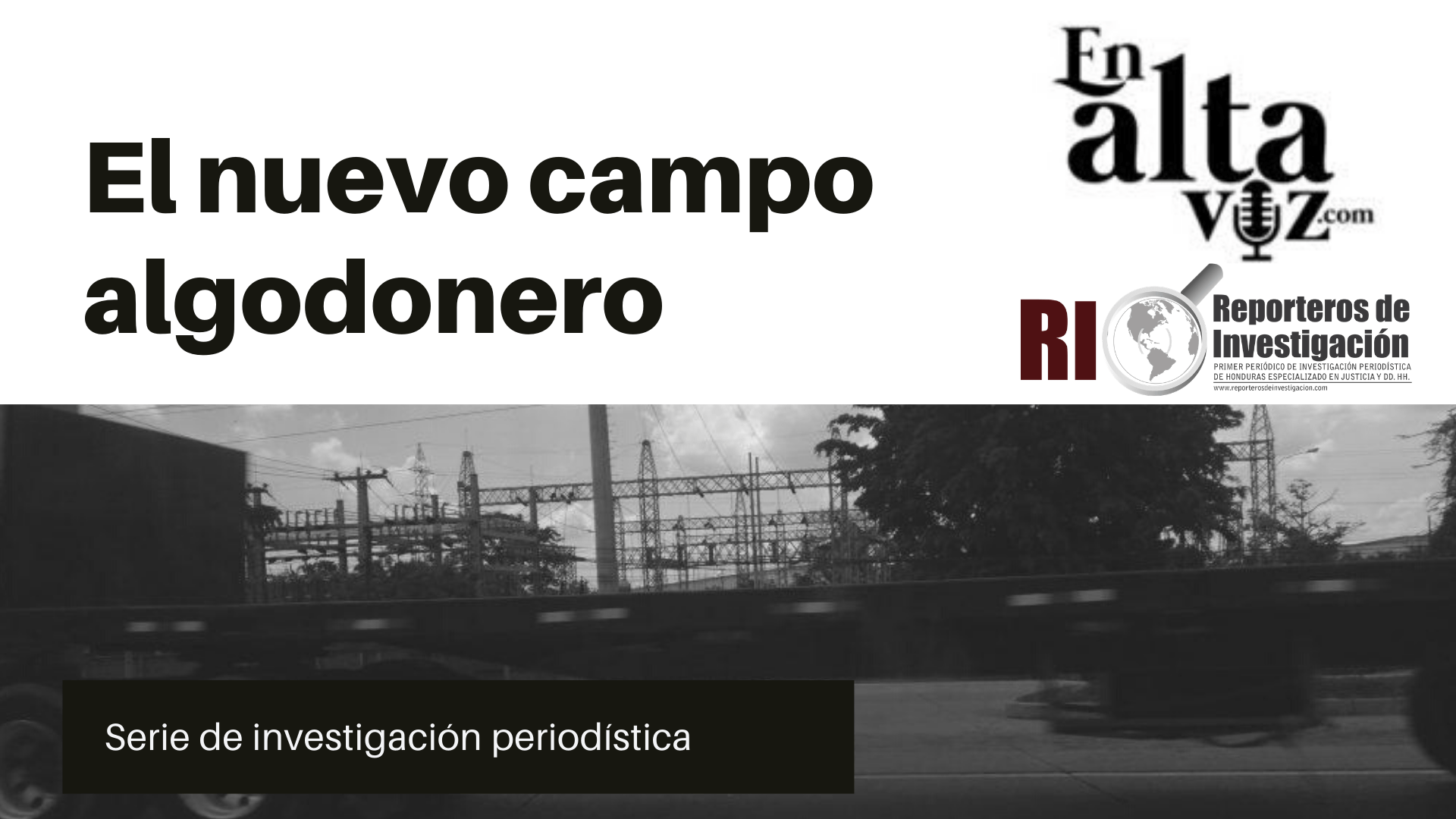 El nuevo campo algodonero