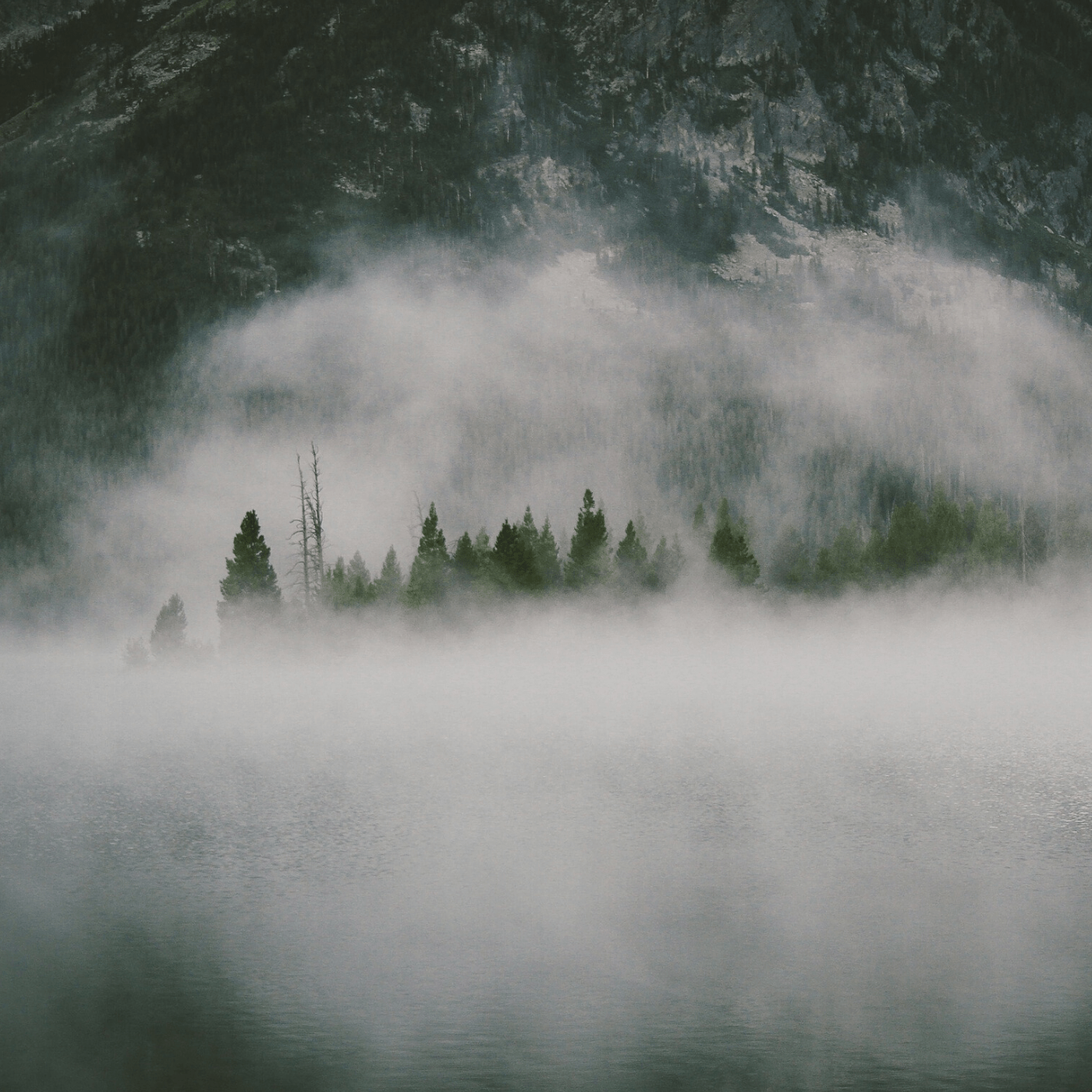 Naturaleza