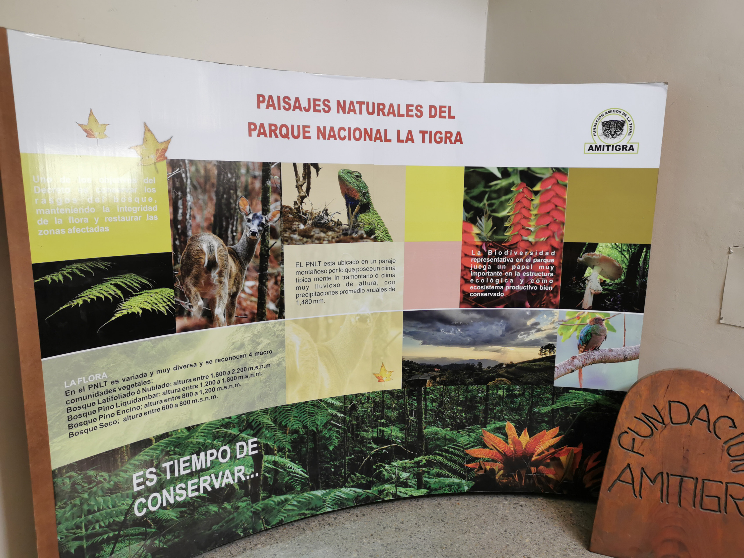 El Parque Nacional La Tigra está abierto todos los días de 6:00 de la mañana a 5:00 de la tarde.