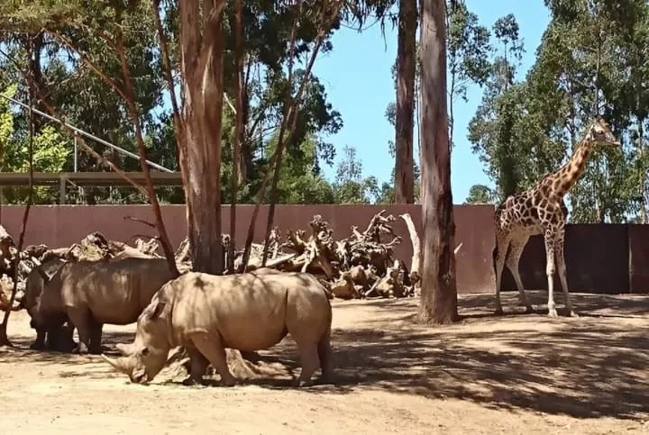 Zoo Santo Inacio Porto - Top 10 Sights in Porto