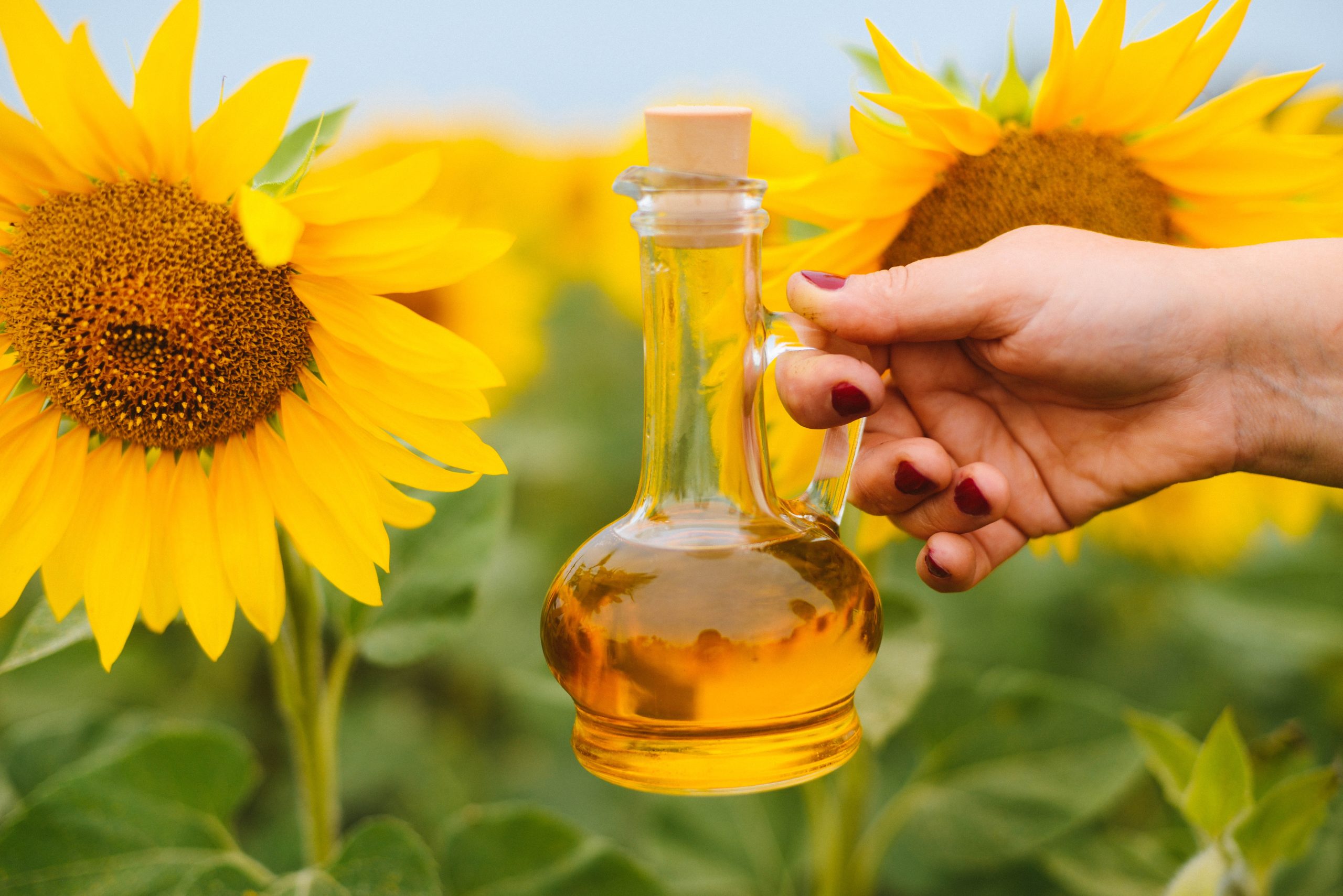 Uk May Face Sunflower Oil Shortage Amid Russia Ukraine War Block One Daily