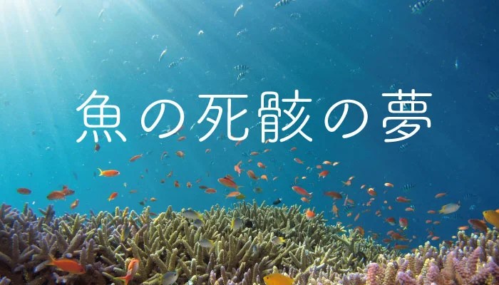 夢占い パンダの赤ちゃんが出てくる夢の意味は 夢からのメッセージを徹底解説 ゆるスピ