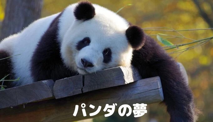夢占い パンダに追いかけられる夢の意味は 夢からのメッセージを徹底解説 ゆるスピ 夢占い パンダに追いかけられる夢の意味は 夢からのメッセージを徹底解説 ゆるスピ