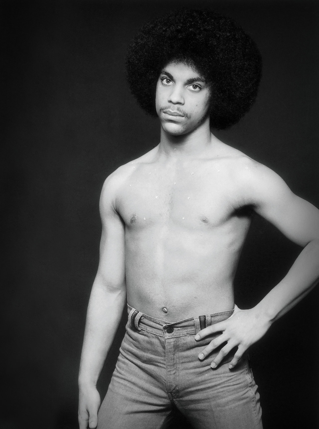 Black Kudos • Prince Prince Rogers Nelson (June 7, 1958 April...