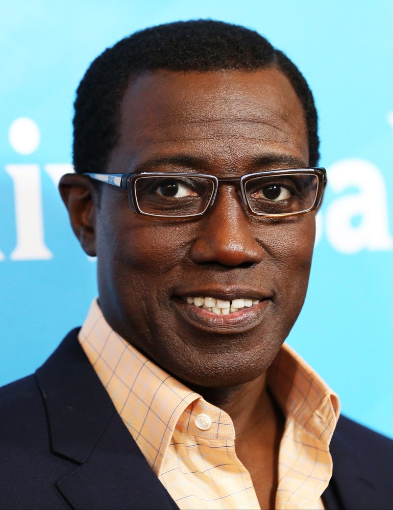 wesley snipes Picture 44 2015 NBCUniversal Press Tour Arrivals