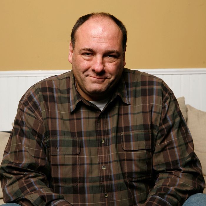 James Gandolfini Actors Are Idiots