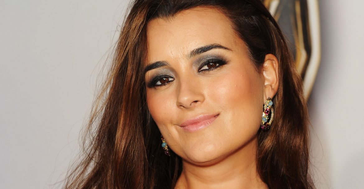 Is Cote de Pablo married? What is she doing now? Wiki, Net Worth, Age, Family, Affair with