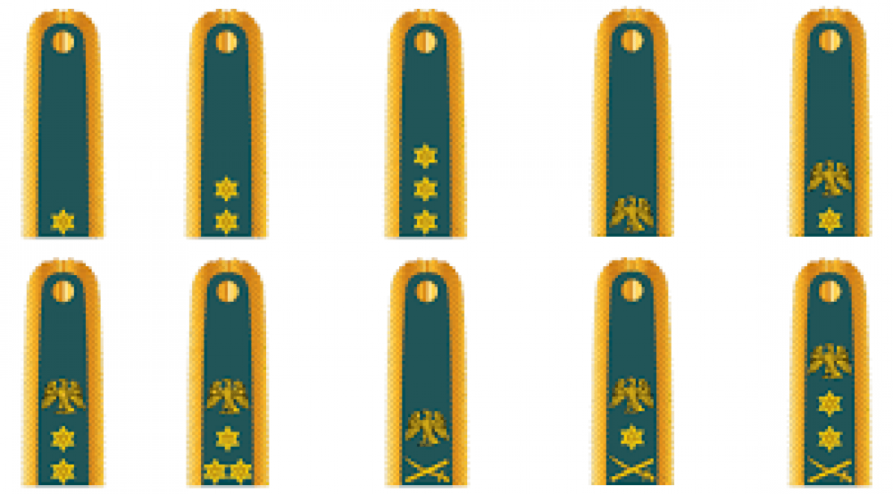 Nigerian Army Ranks Badges Picture