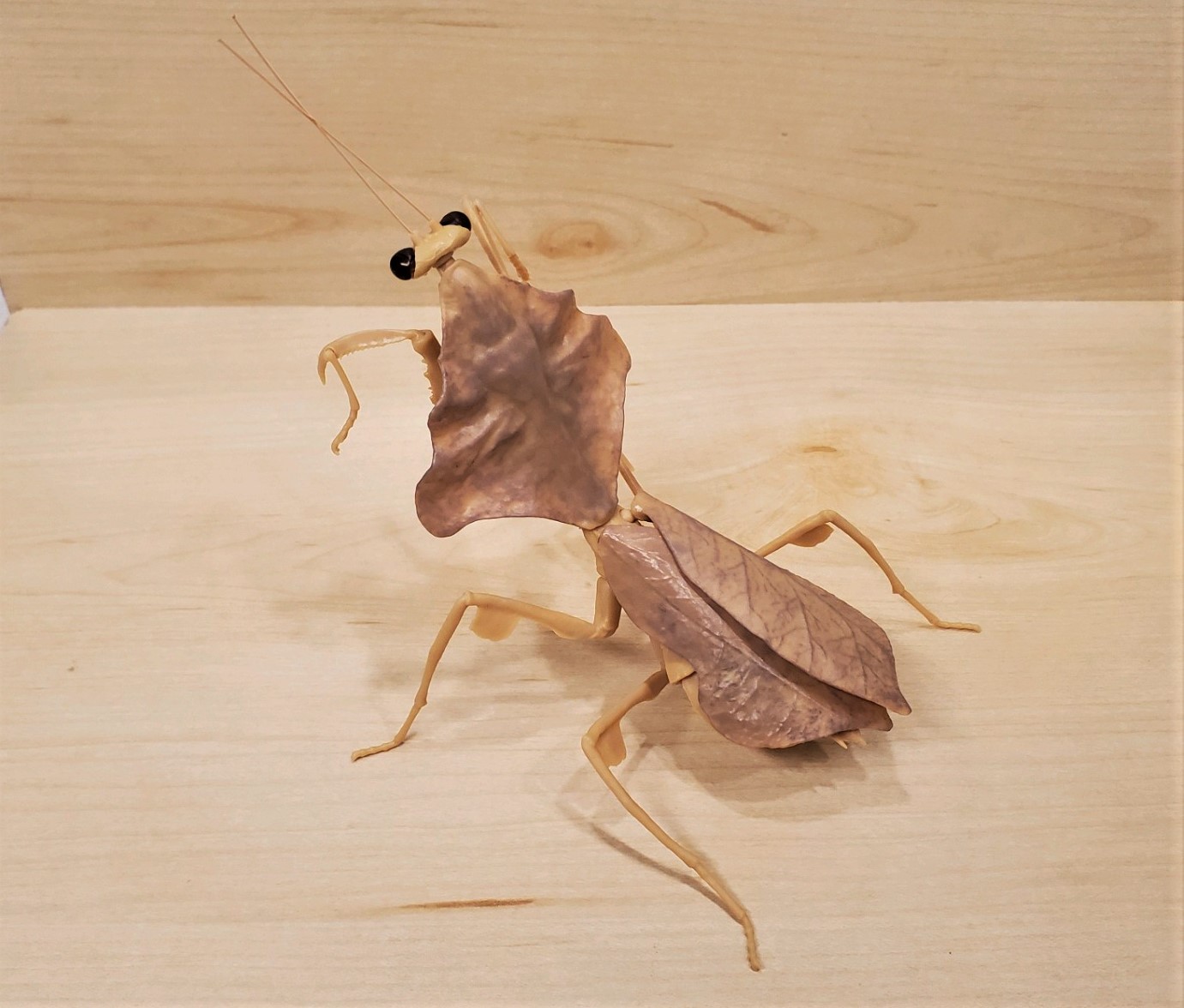 Southeast Asian Dead Leaf Mantis Diversity Of Life On Earth Japanese Giant Mantis Vol 2 By Bandai Animal Toy Blog