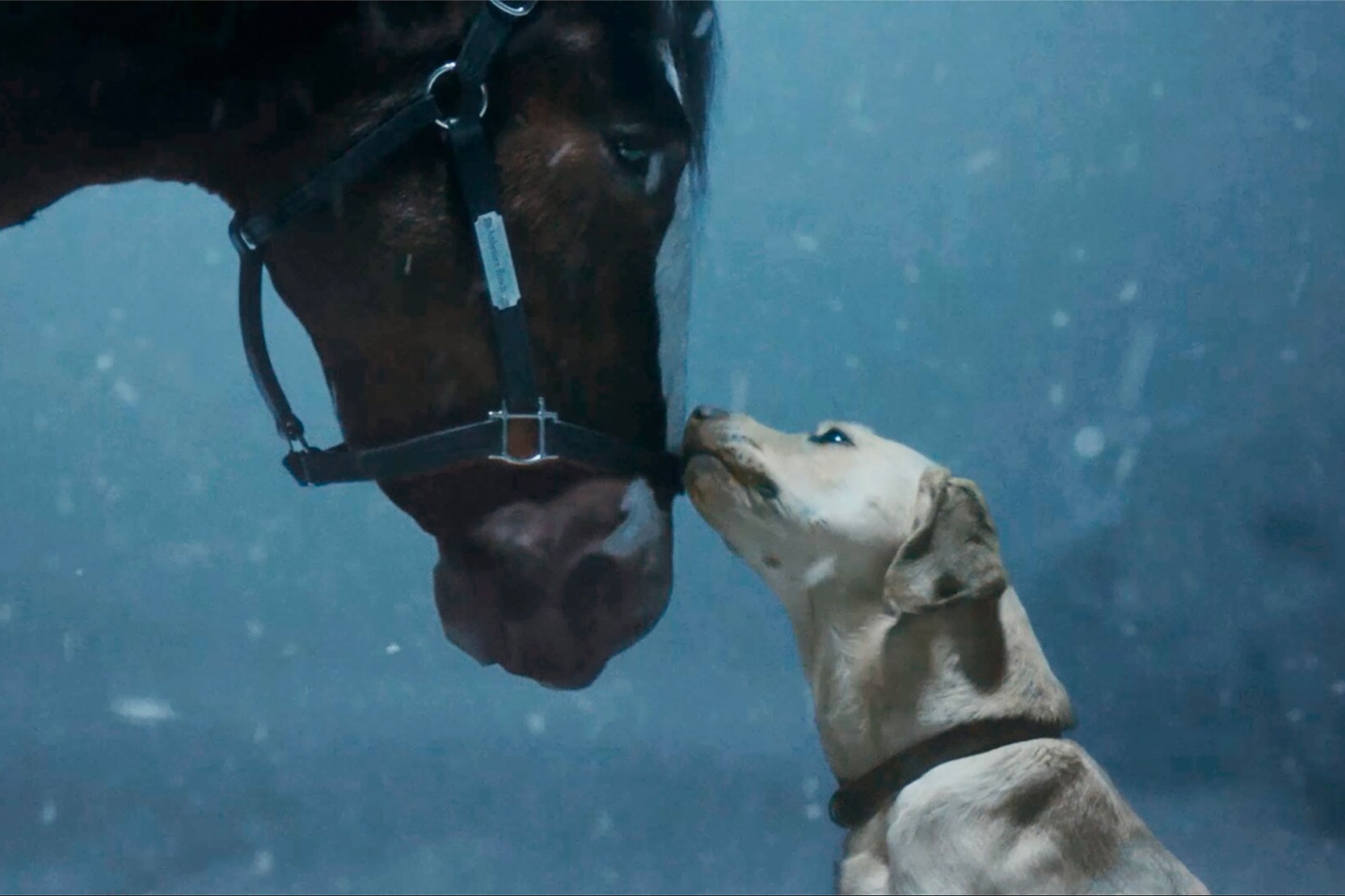 Why Tremendous Bowl Commercials Are the Final Advertising Play