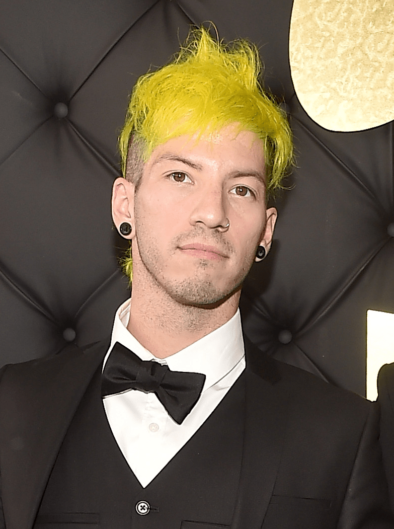 GRAMMYS 2017 Josh Dun And Tyler Joseph Just Hit The Red Carpet And No