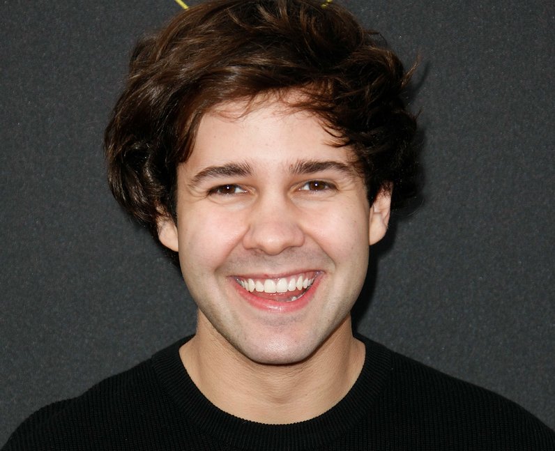 What is David Dobrik's net worth in 2022? David Dobrik 16 facts