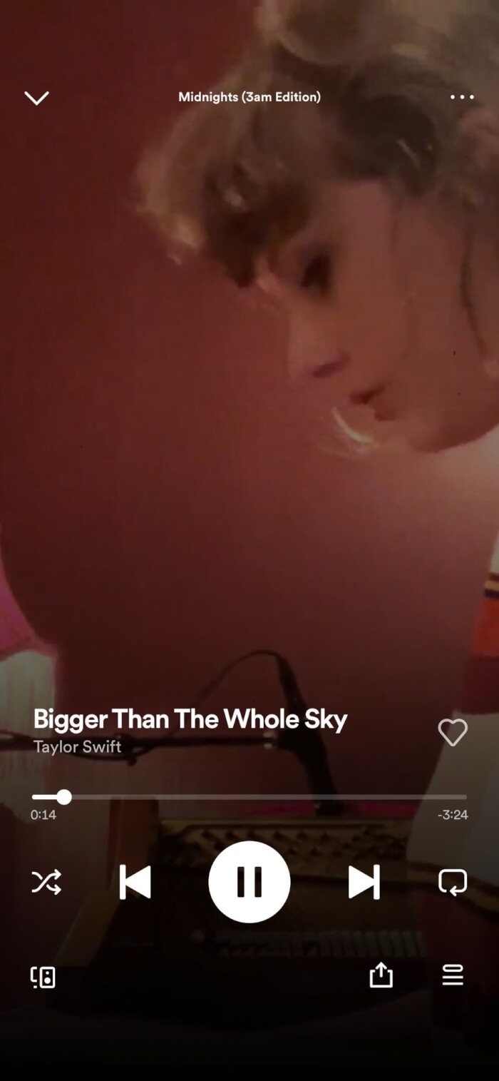 Real "Bigger Than The Whole Sky Lyrics Meaning" Losses