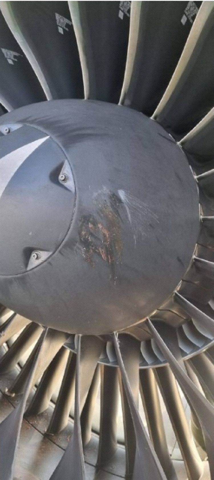 Incident Astana A21N at Istanbul and Almaty on Aug 23rd 2022, bird strike