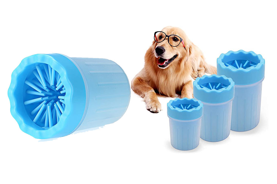 Top 10 Best Portable Paw Washer for Dogs of 2023 Review Best Pet Pro