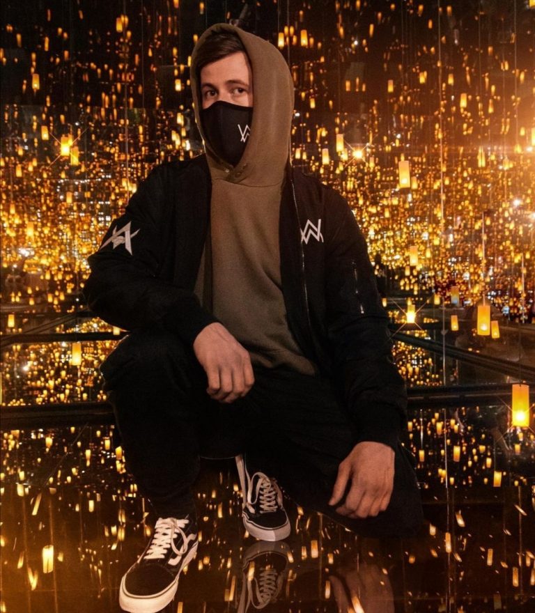 Alan Walker Net Worth 2023 Salary, Height, Bio