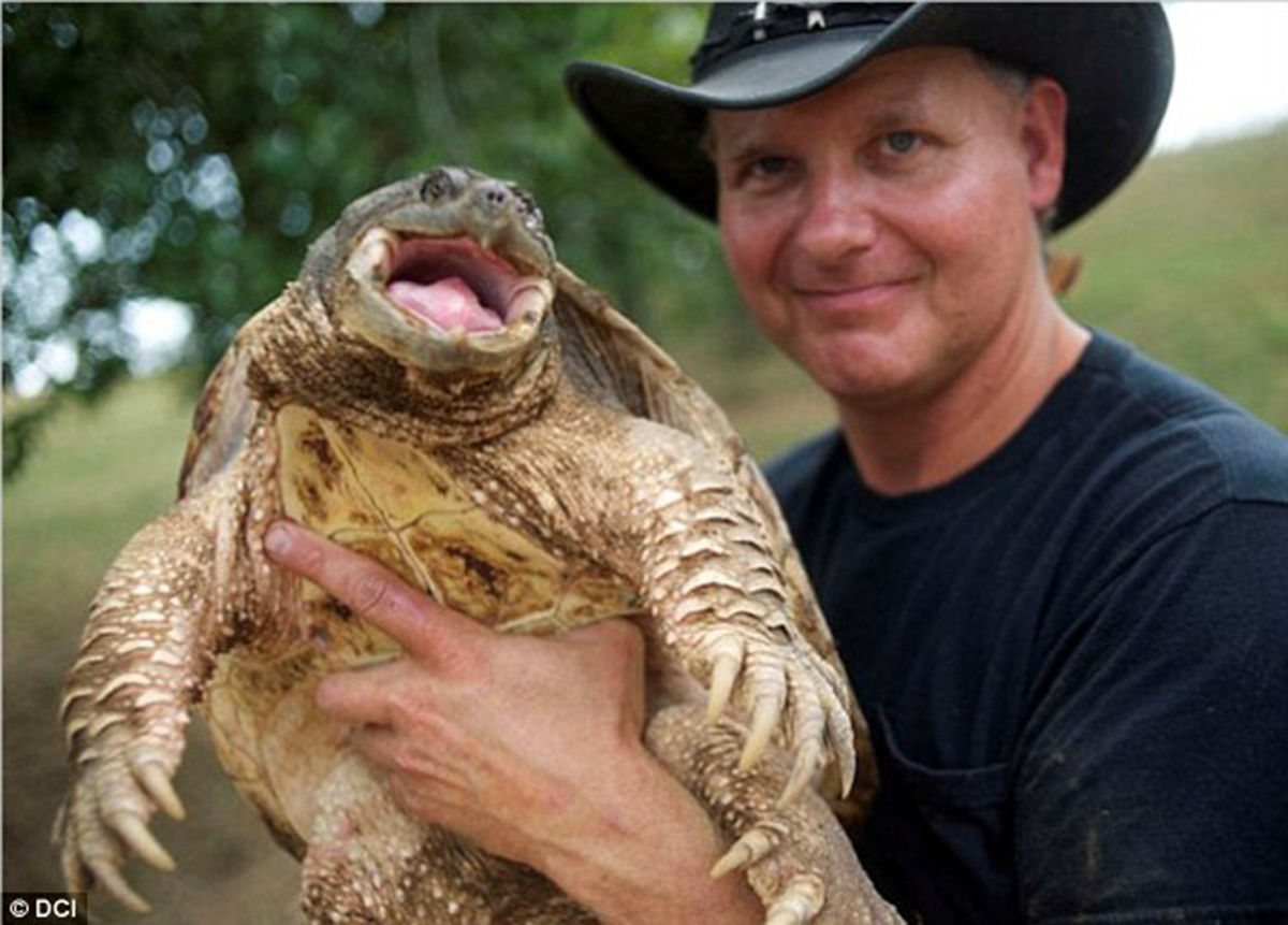 Former Animal star 'The Turtleman' is coming to Carterville