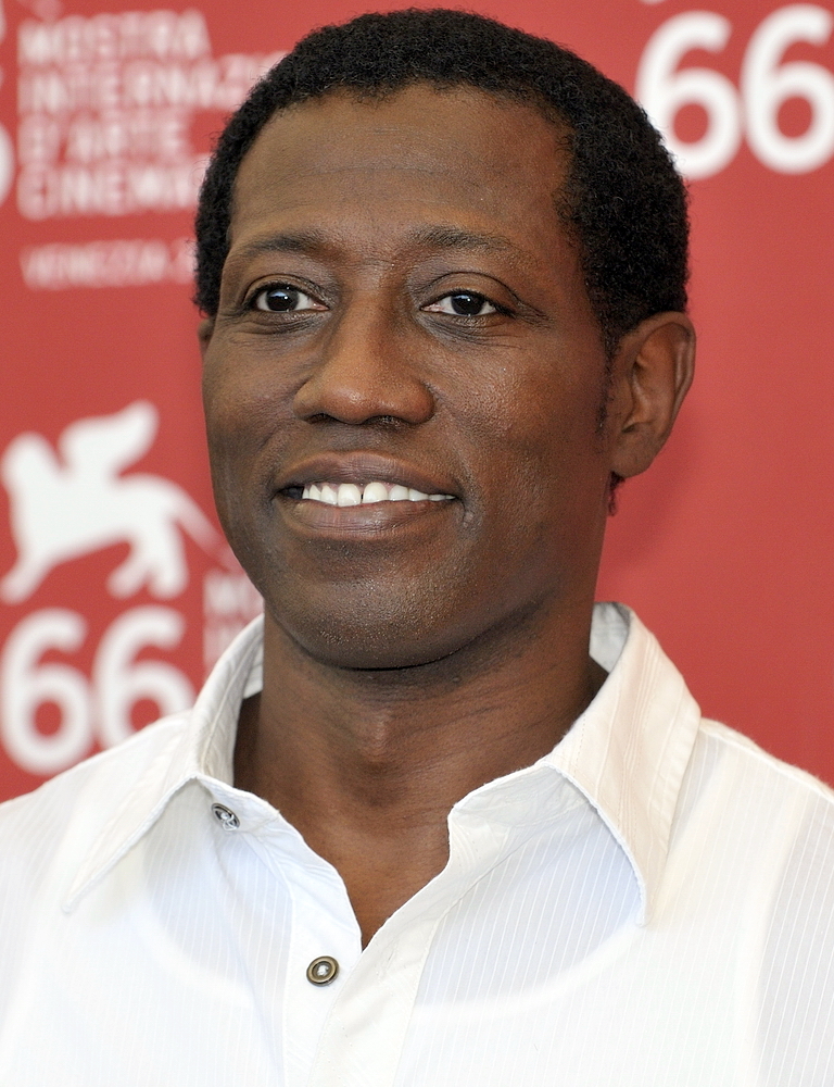 Wesley Trent Snipes The Bronx Daily