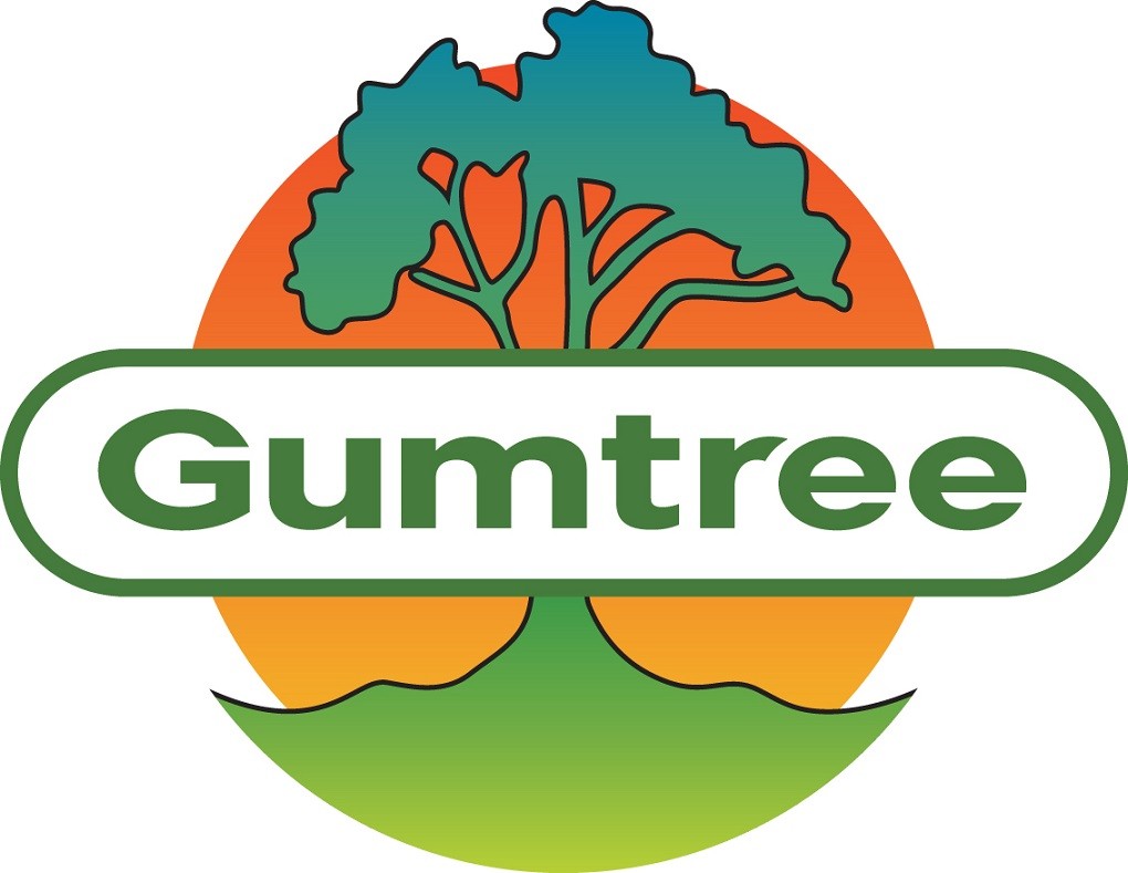 Amazing Things You Didn't Know You Can Do On Gumtree Johannesburg in 2024