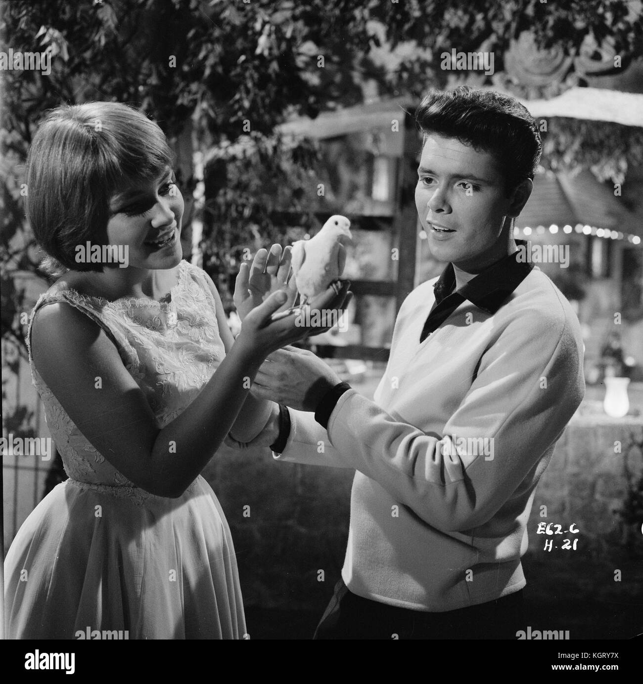 Summer Holiday (1963) , Cliff Richard , Lauri Peters Stock Photo Alamy