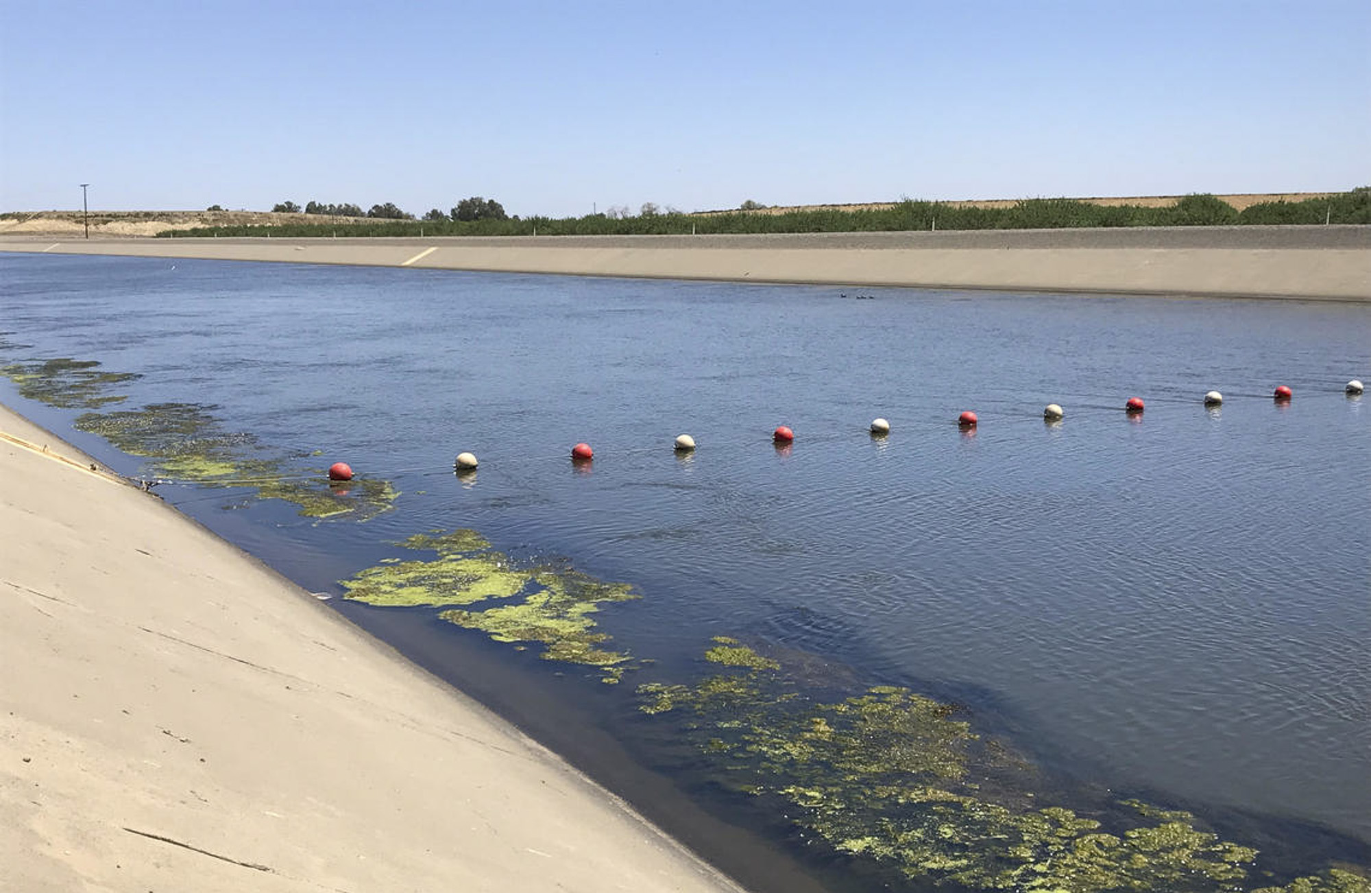 The California Aqueduct near Huron, CA in the San Joaquin Valley. Runoff carrying microplastics can pollute open channels like one which provides much of the imported water to the Metropolitan Water District. Photo by Michelle Sneed, US Geological Survey