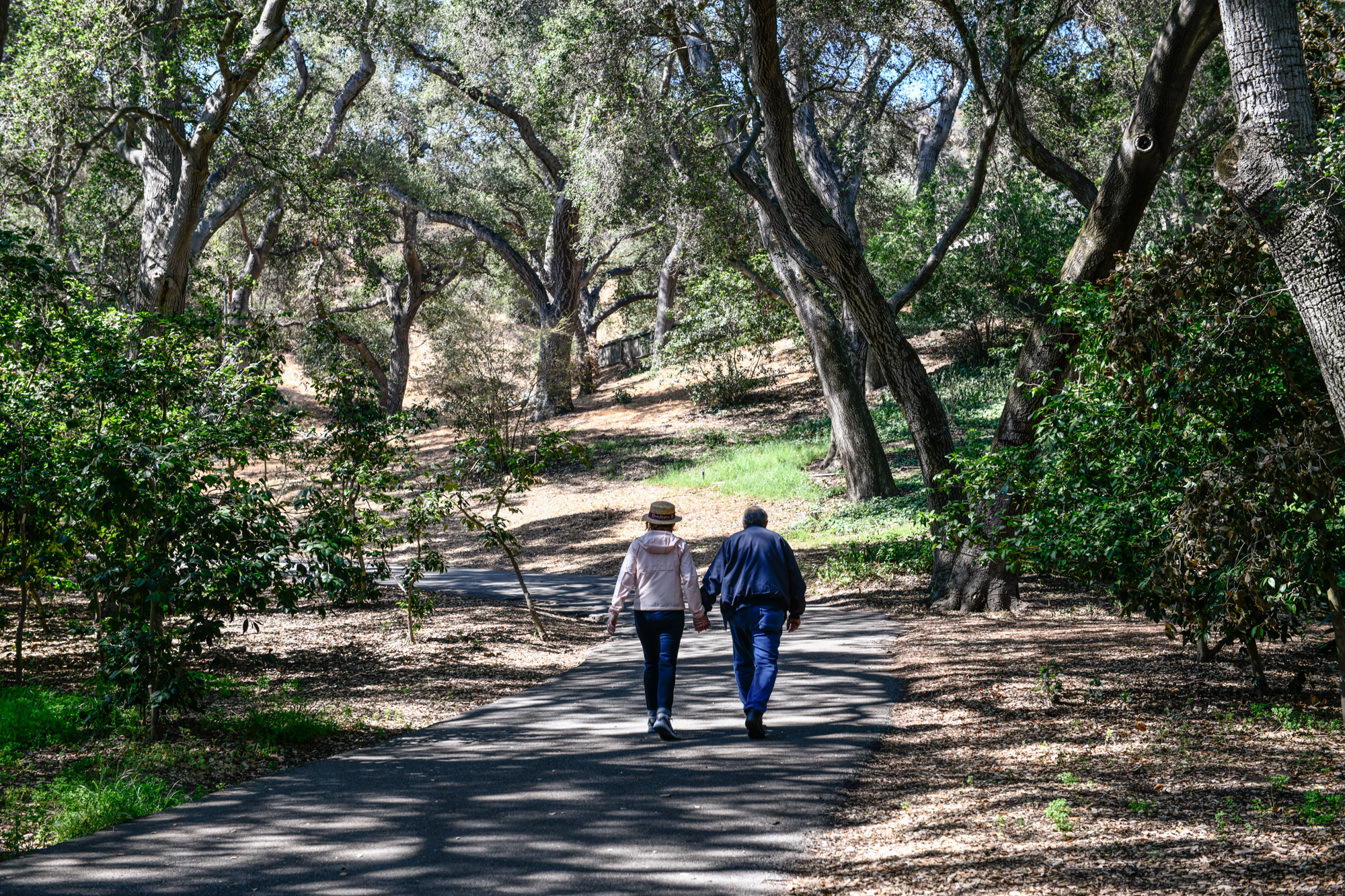 A couple hold hands during a morning walk at Descanso Gardens in La Cañada Flintridge, on June 22, 2021. Pablo Unzueta for CalMatters