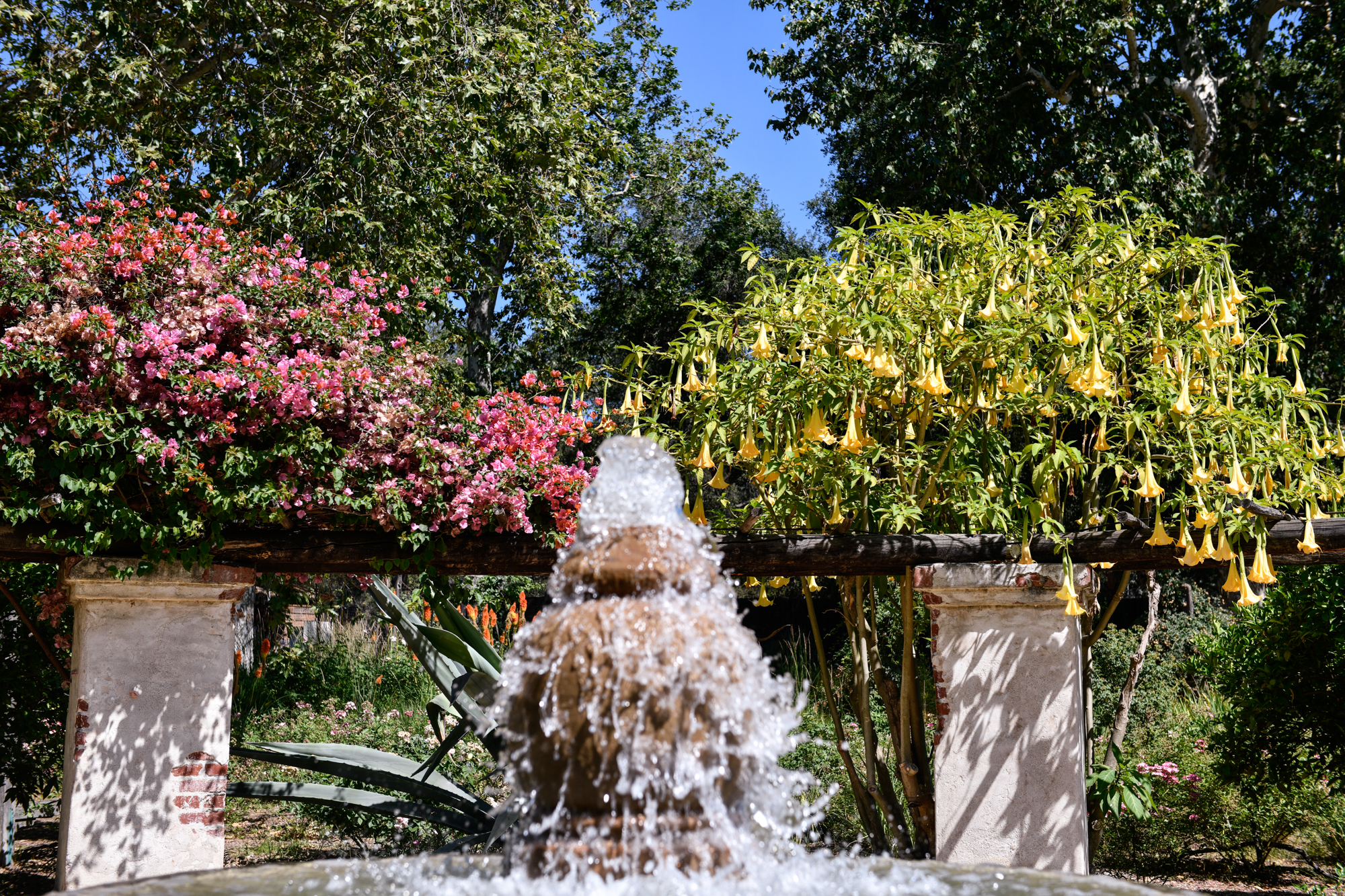 A water fountain located at Descanso Gardens in La Cañada Flintridge, on June 22, 2021. Pablo Unzueta for CalMatters