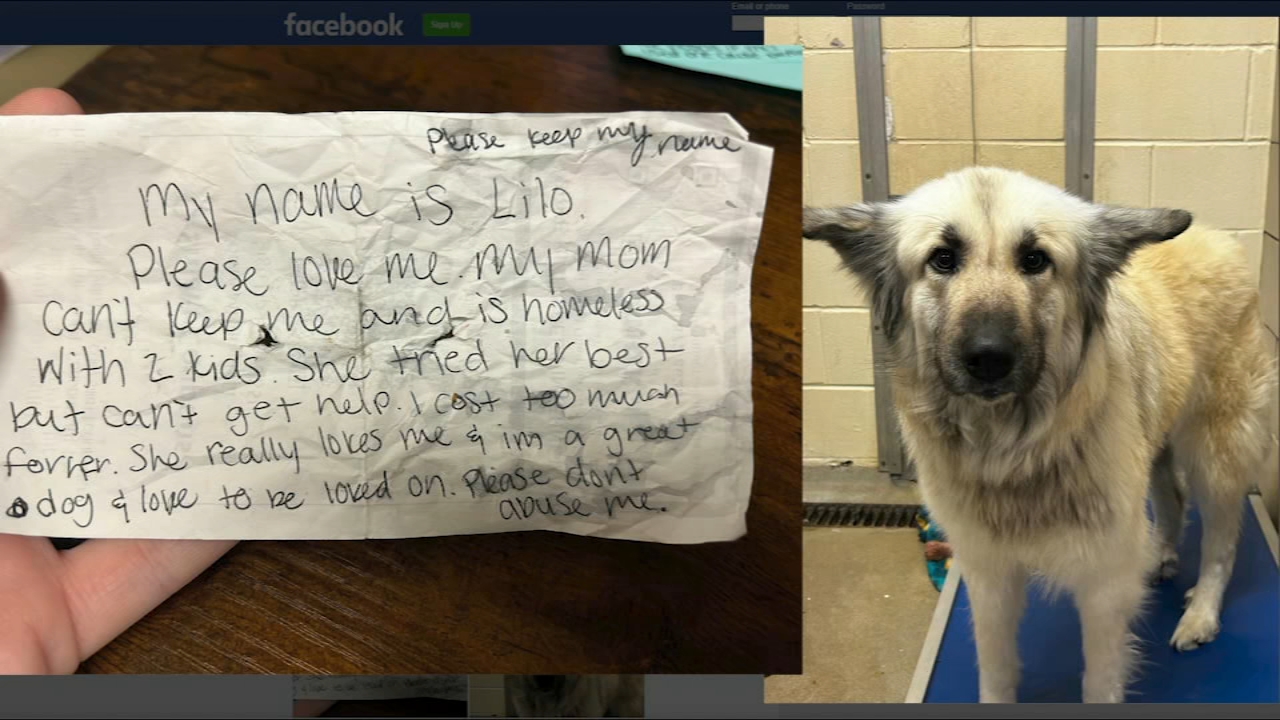 Abandoned dog in Tennessee reunited with owner who left heartbreaking