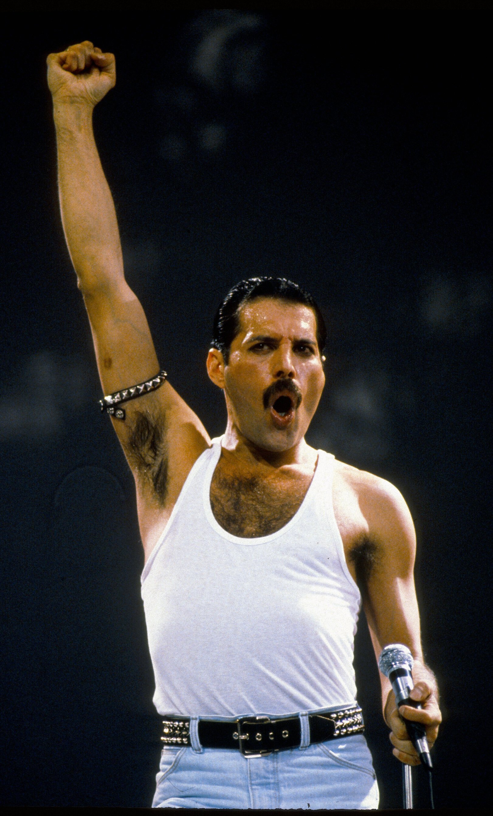 Freddie Mercury Once Snuck Princess Diana Dressed in Drag into a Gay