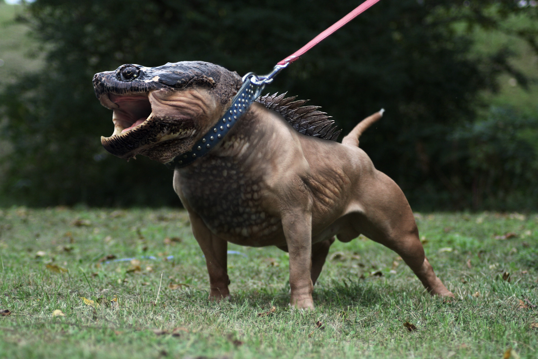 Most Terrifying Animals Gallery eBaum's World