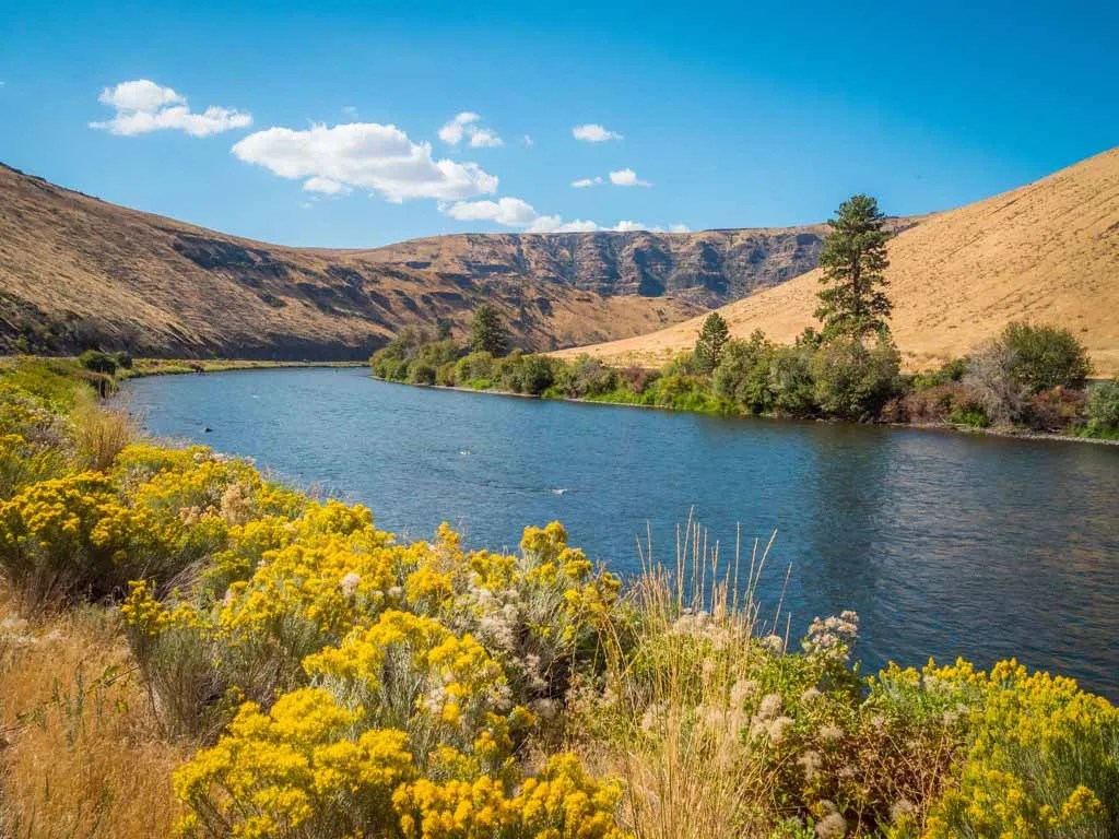 10 Things to Know Before Moving to Yakima, WA Updated 2024