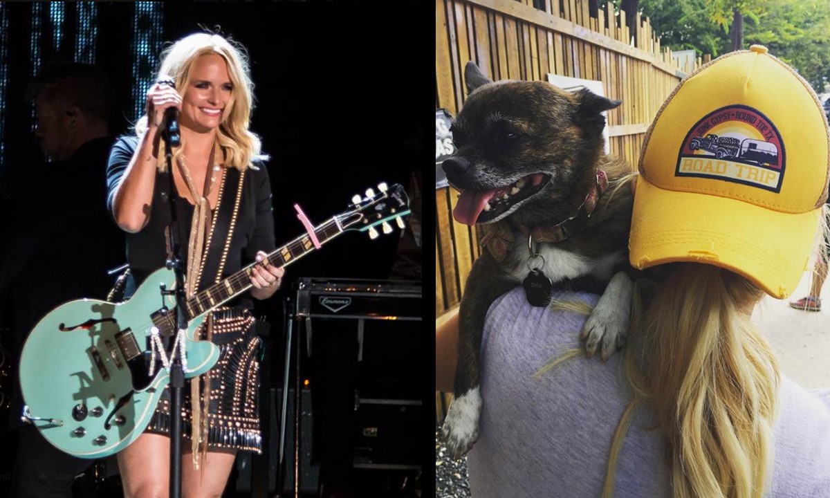 Miranda Lambert Aims to Open Hometown Animal Adoption Center