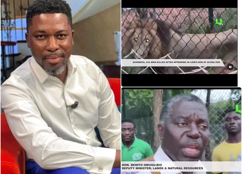 "Was He Really Killed By A Lion?" APlus Questions Circumstances