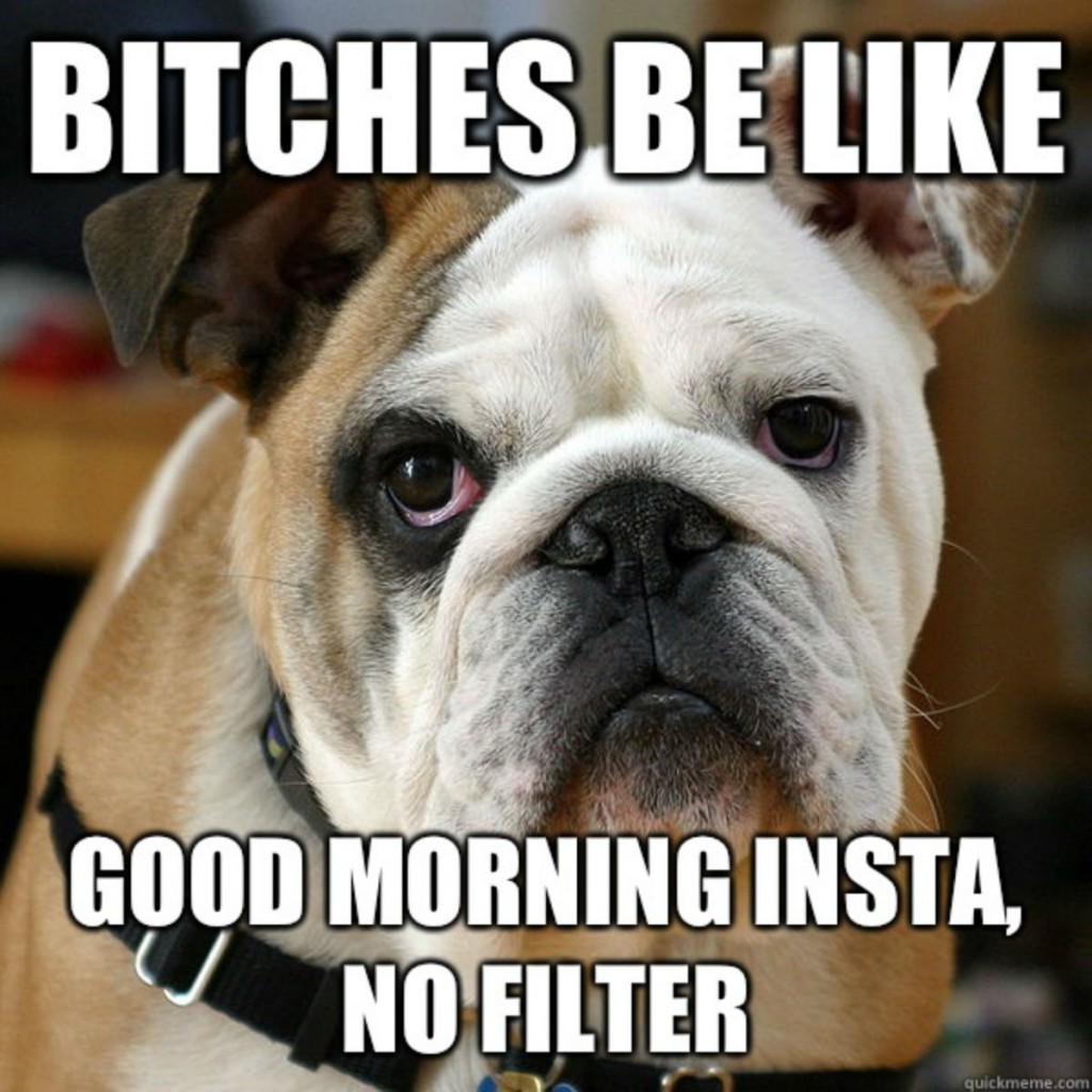 21 Funny Good Morning Memes To Start Off Your Day