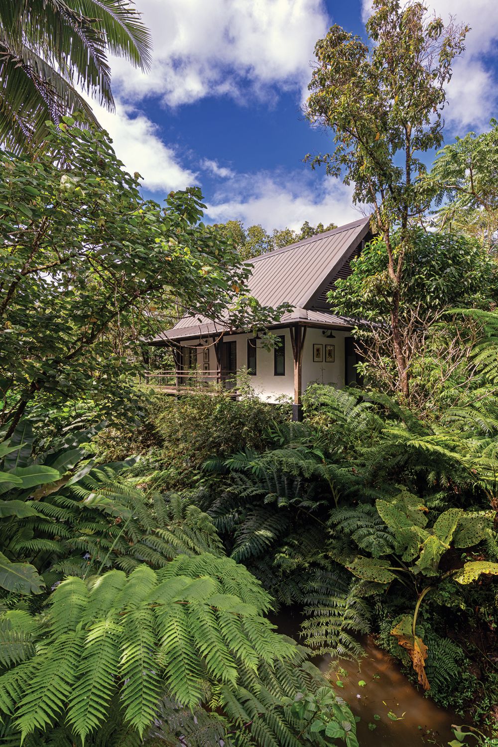 Home Tour Inside Casa Esperanza, the Luxuriously Green House of