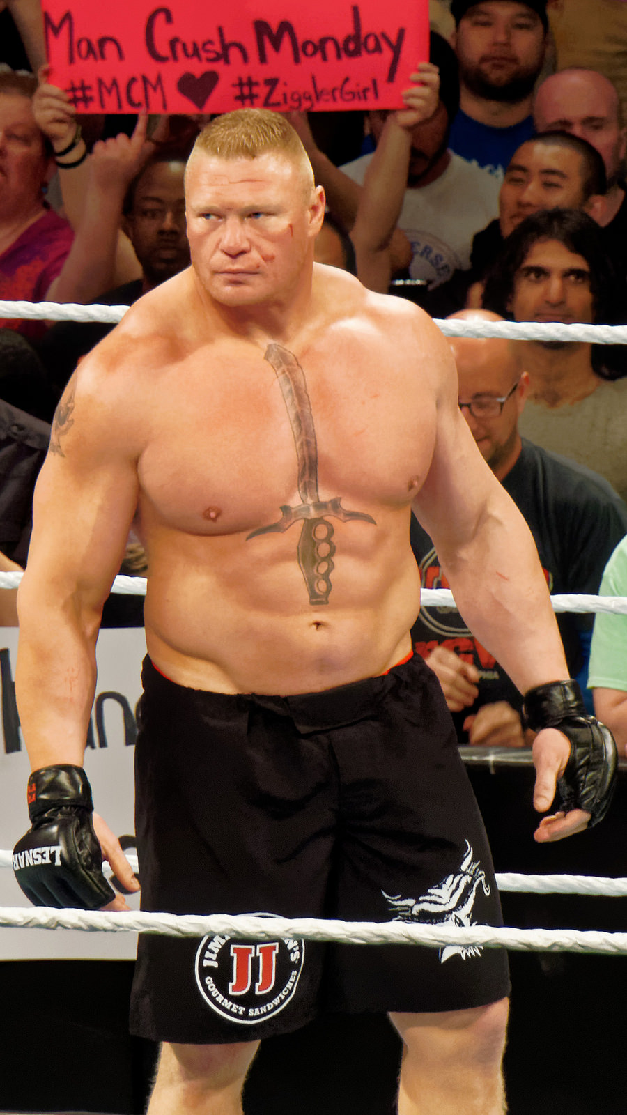 Brock Lesnar Net Worth 2018 What Is This Wrestler Worth?