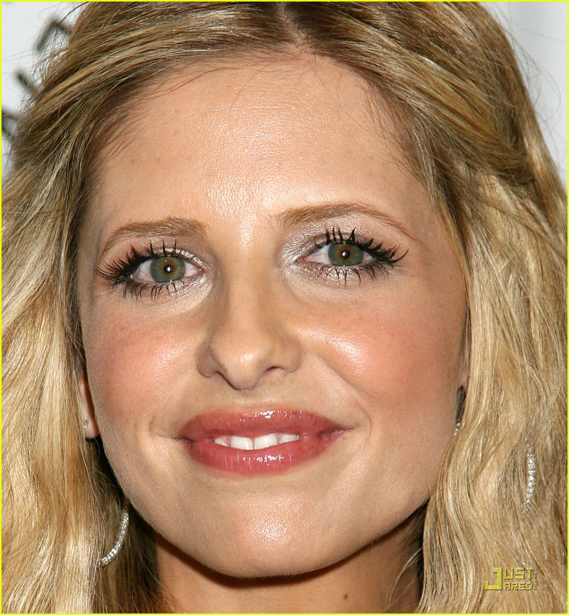 Sarah Michelle Gellar Paley Festival 2008 Photo 1010681 Sarah