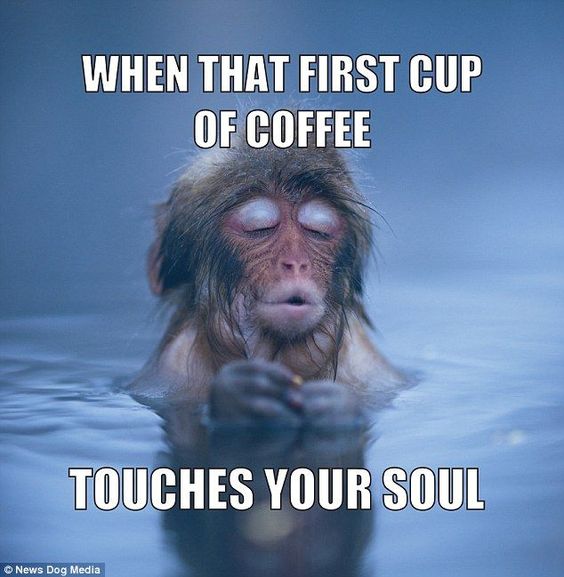 Coffee memes for coffeeholics to start your day with