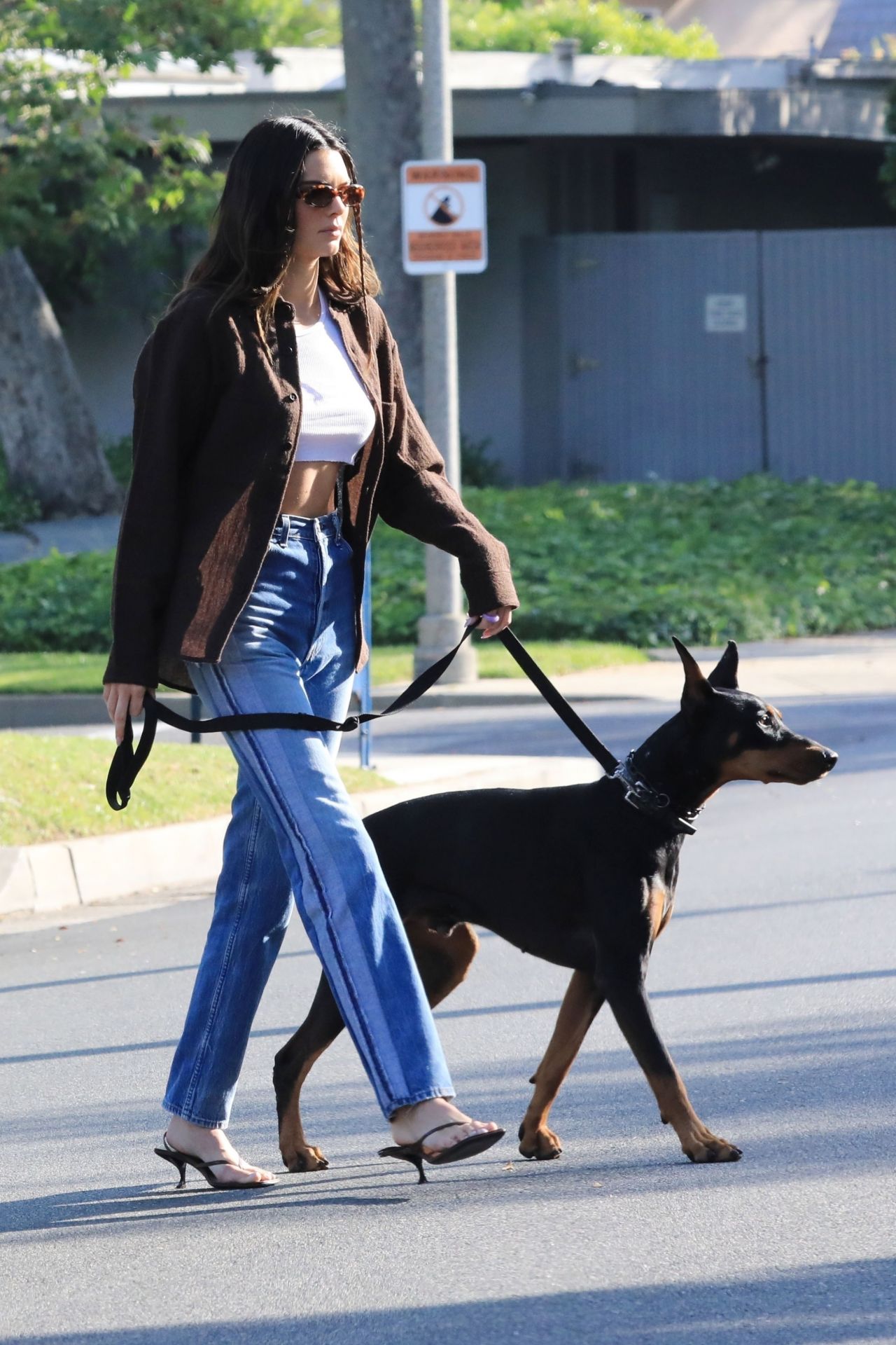 Kendall Jenner Walking Her Dog in Beverly Hills 05/07/2021 • CelebMafia