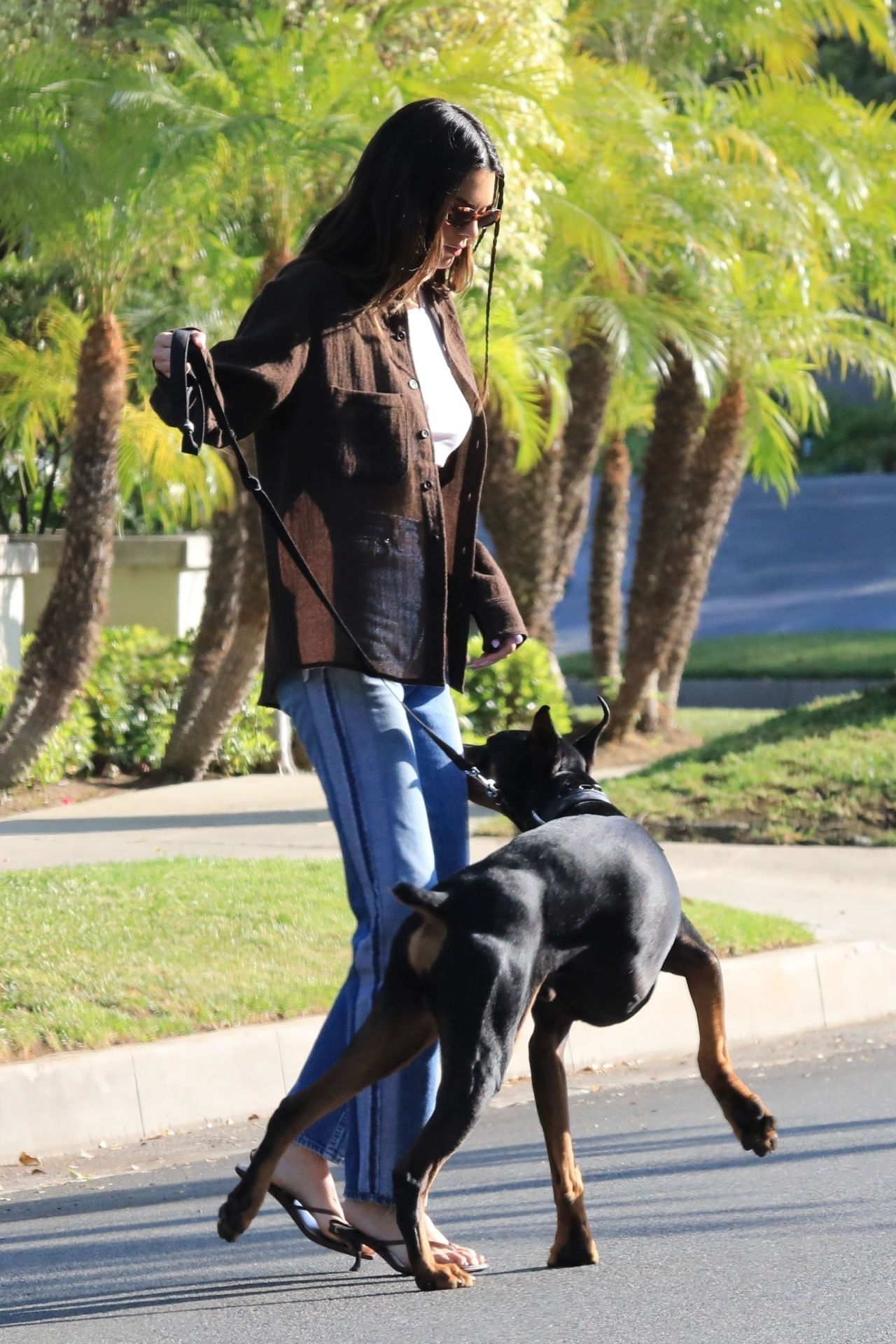 Kendall Jenner Walking Her Dog in Beverly Hills 05/07/2021 • CelebMafia