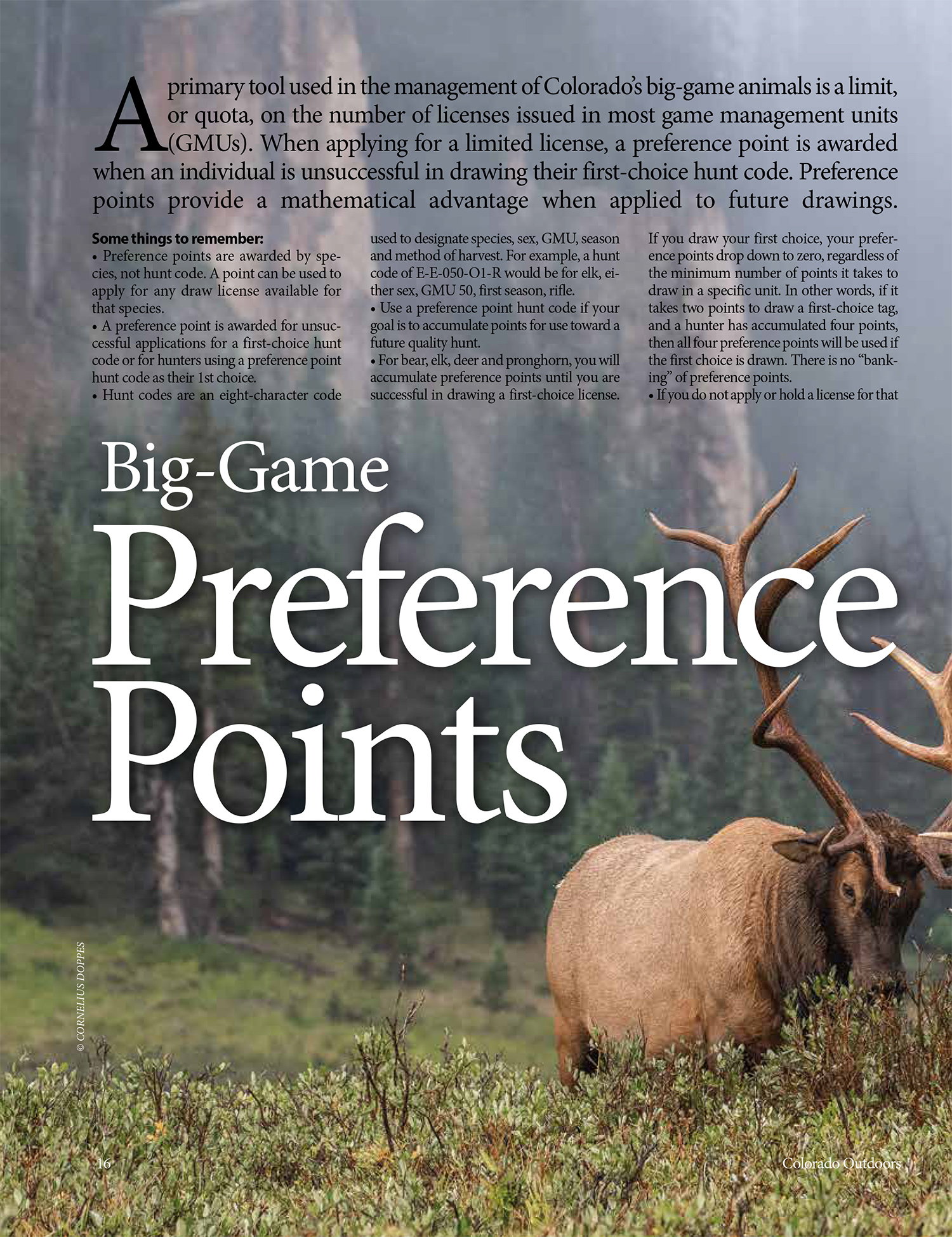 2019 Colorado Outdoors Preference Point Issue Online Edition Colorado Outdoors Online