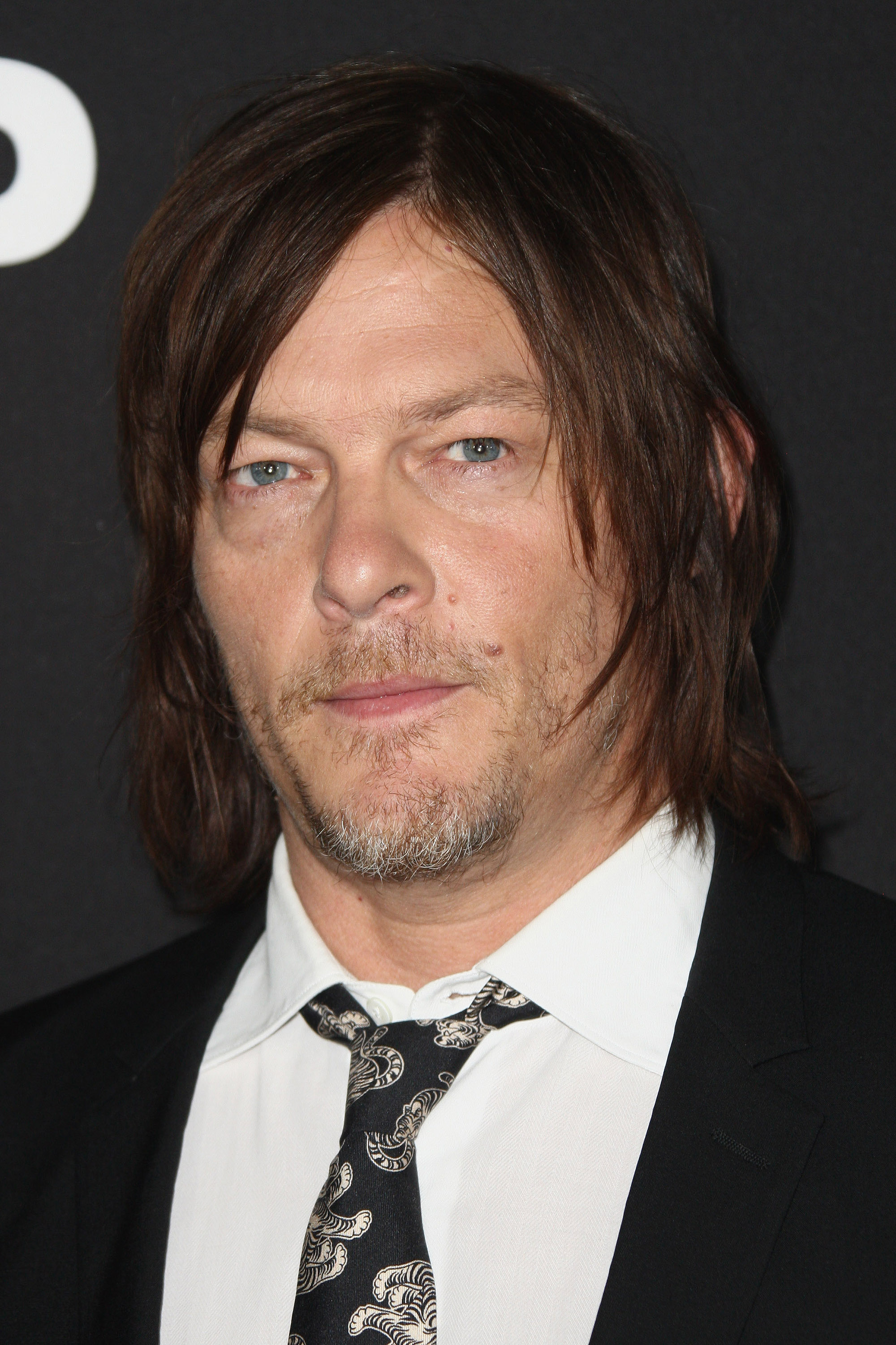 'Walking Dead's' Norman Reedus and cat art? We're there!