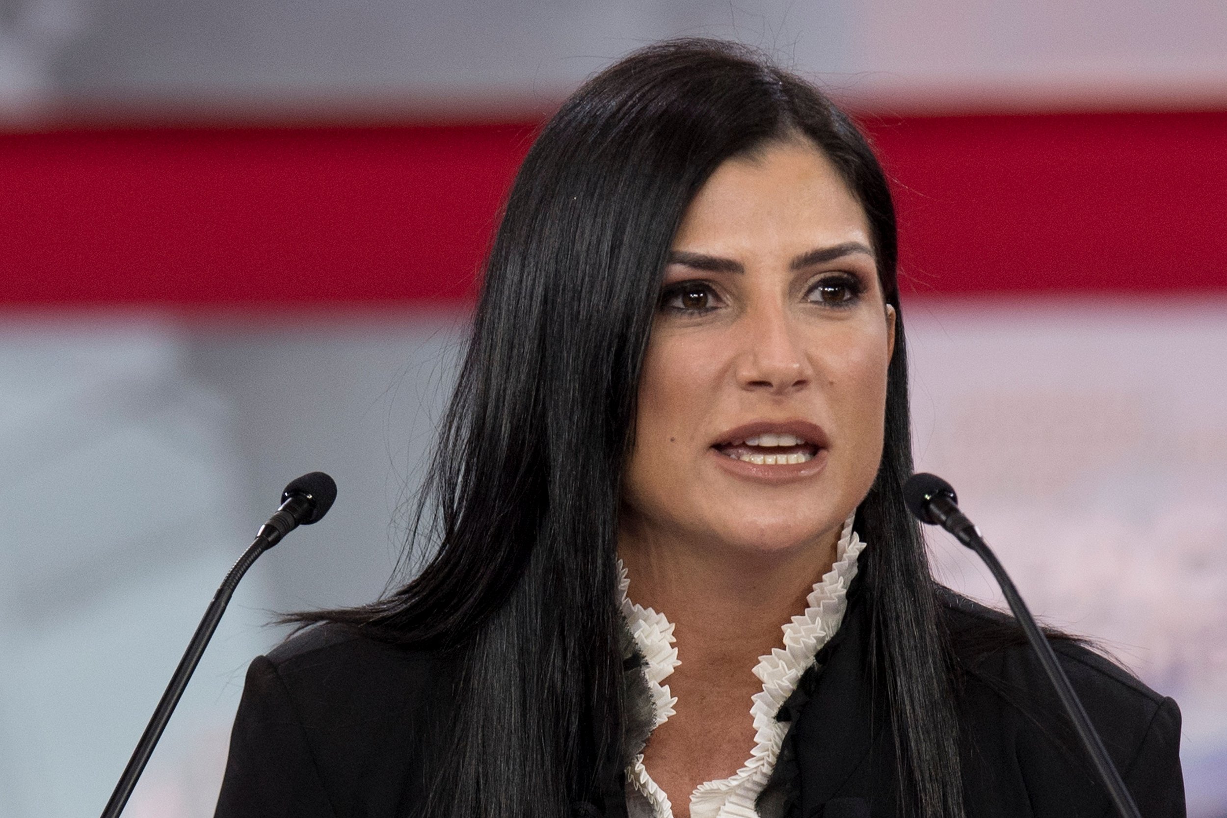 Video of NRA's Dana Loesch 'Happy' Over Media Being 'Curb Stomped