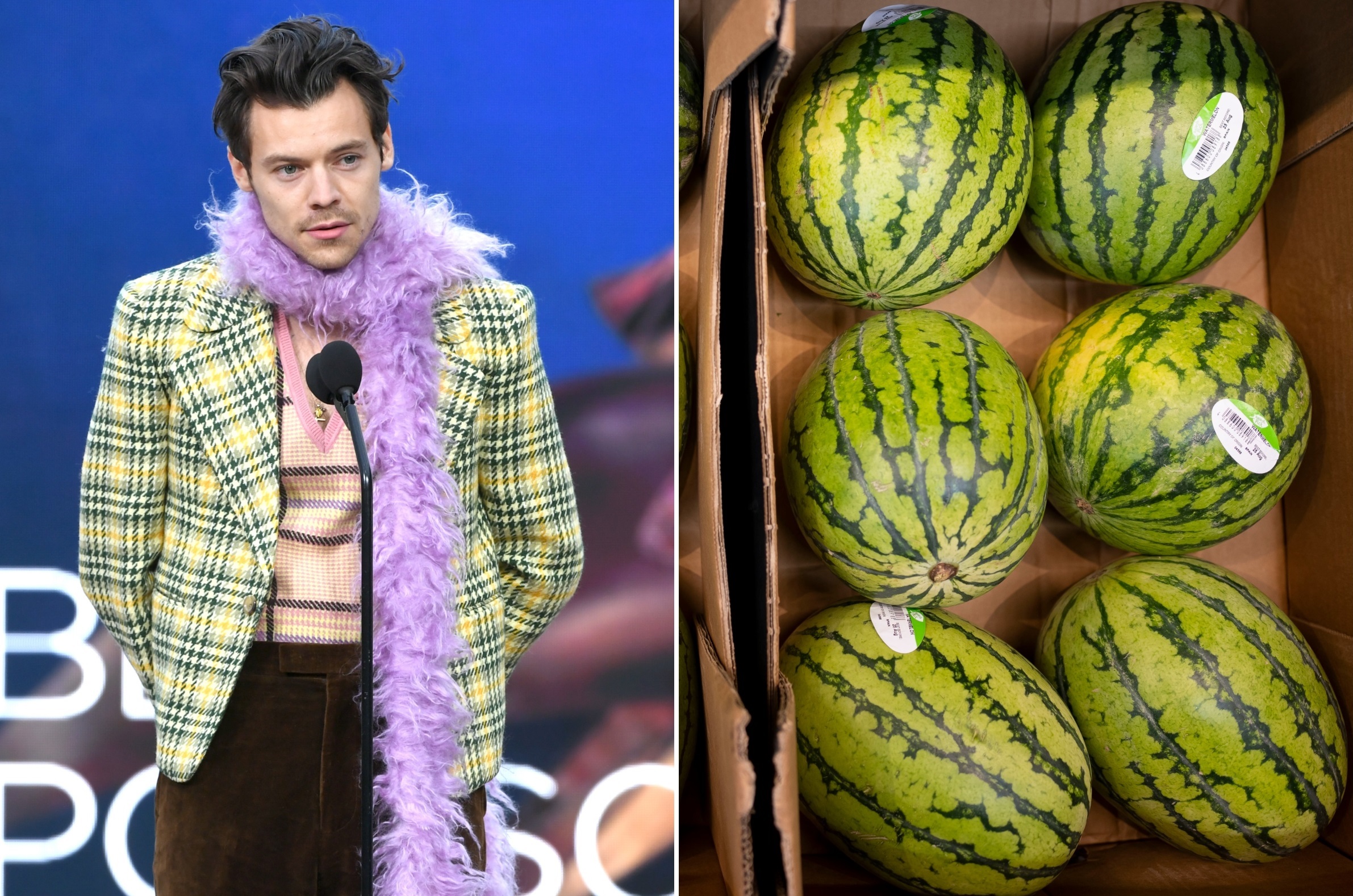 Harry Styles Confirms NSFW Meaning Behind 'Watermelon Sugar' Lyrics