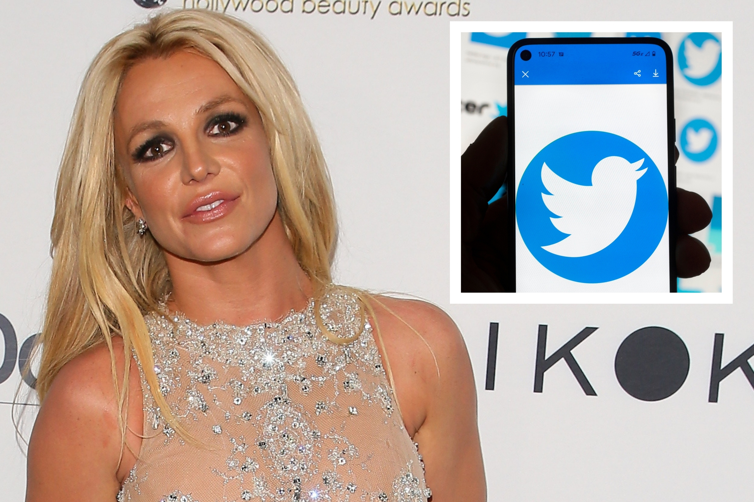 Britney Spears' Fans Confused by Nude Pic With 'Legislative Act