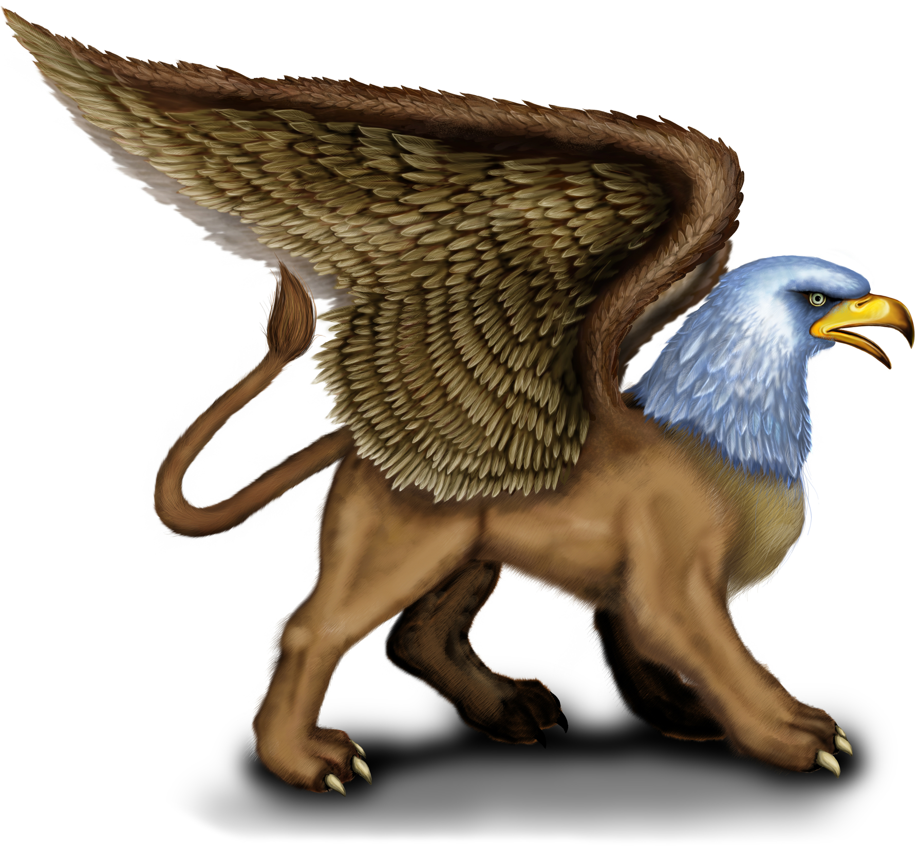 What is a Griffin? Wonderopolis