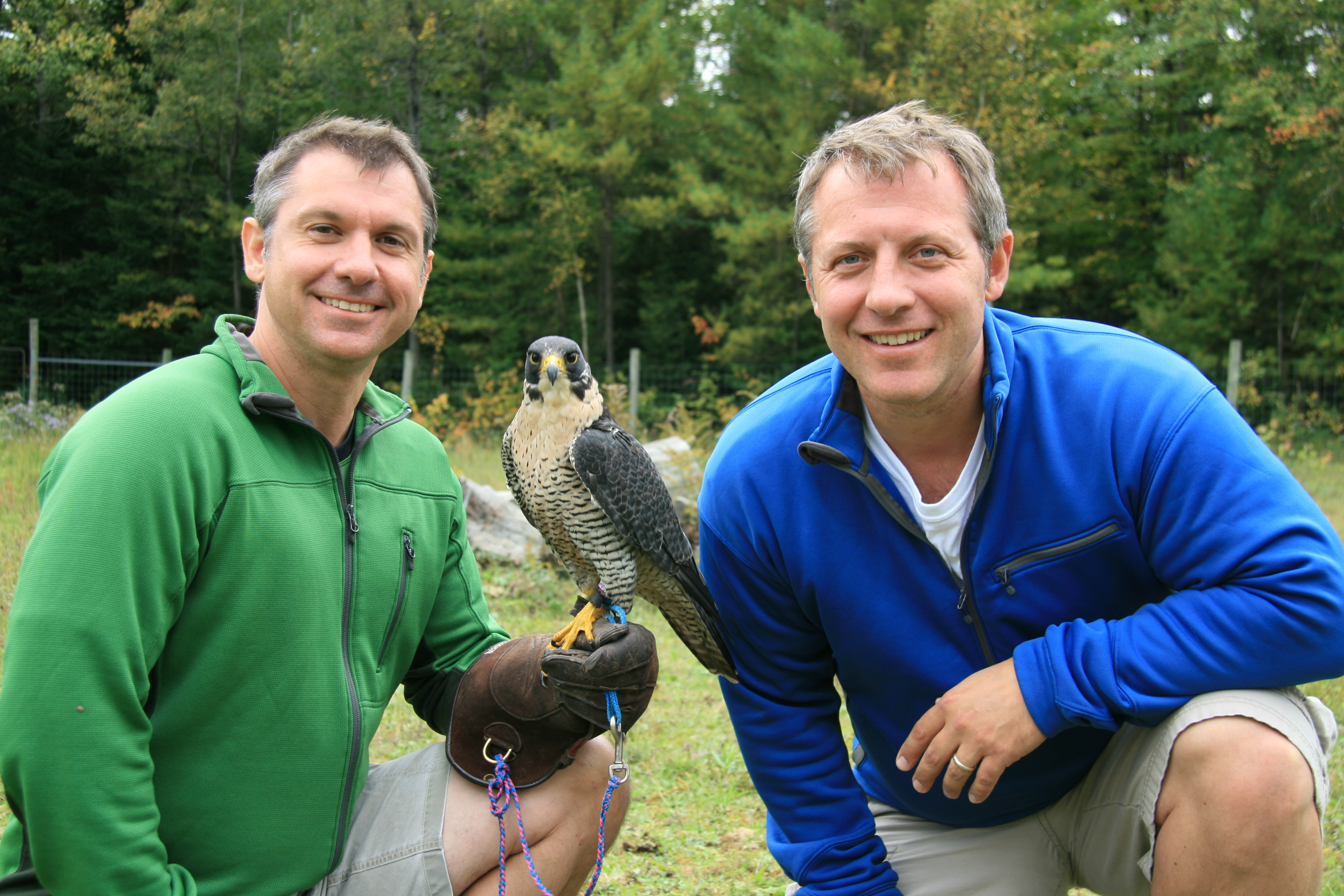 In the Spotlight with The Kratt Brothers Dandelion Women