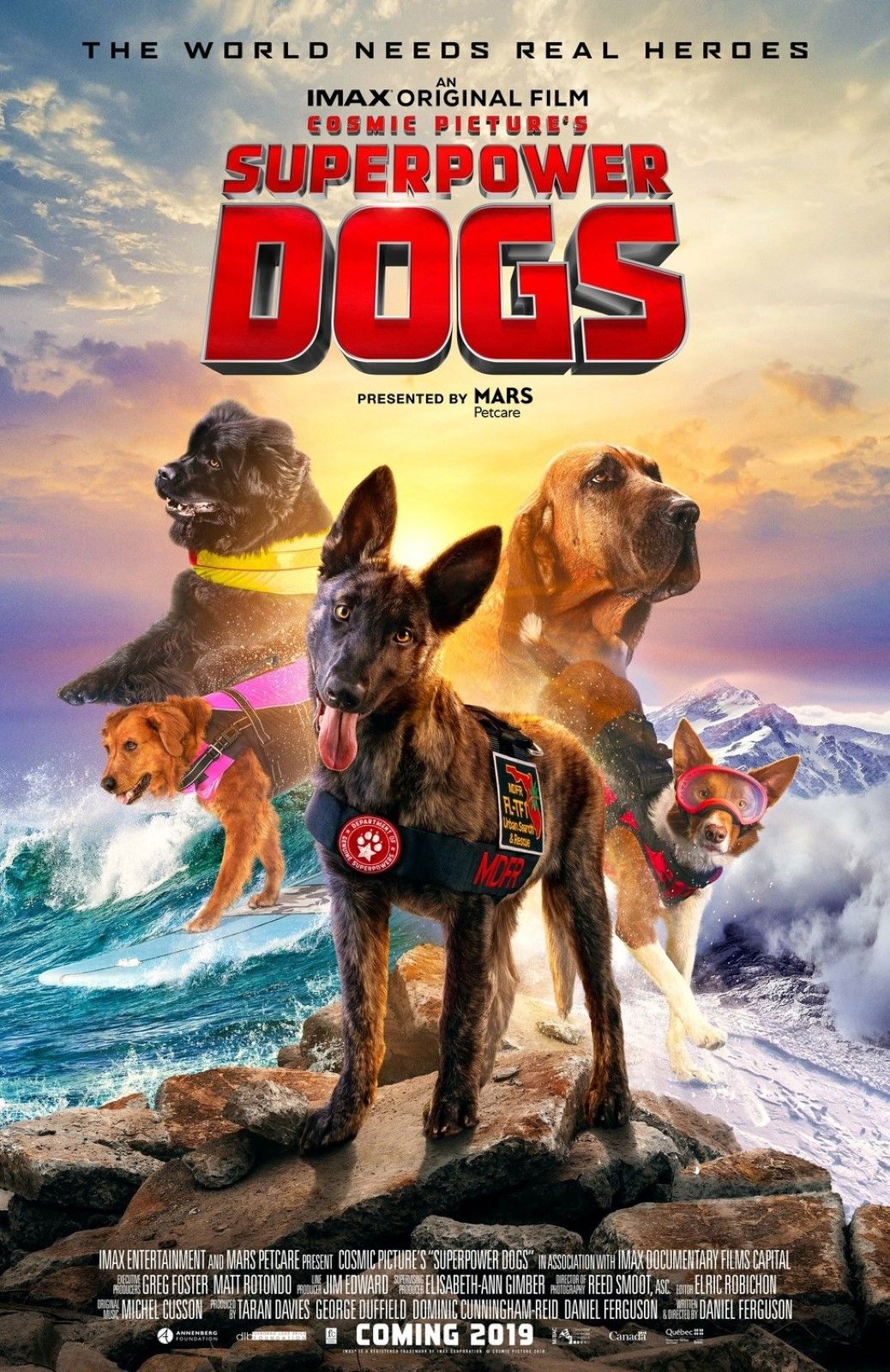 Superpower Dogs Dokumentarfilm 2019 FILMSTARTS.de