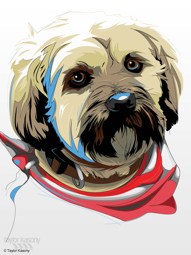 30 Amazing Vector Portrait Illustrations Design Bump