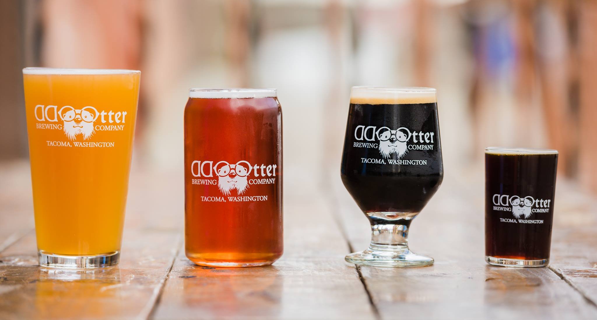 Odd Otter Brewing Company All You Need to Know BEFORE You Go